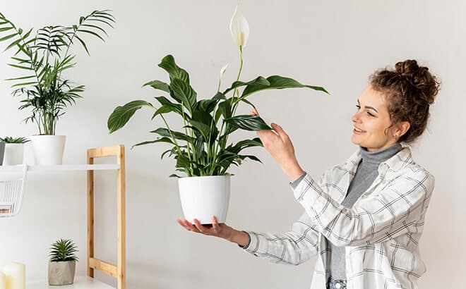 Embracing Wellness with Eco-Friendly Walls