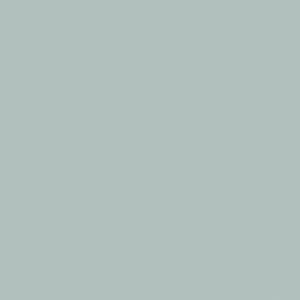 Earth Beige
