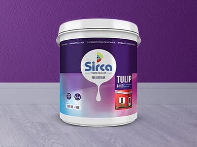 Tulip Gloss Weatherproof Emulsion