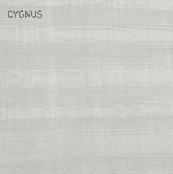 Cygnus