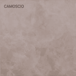 Camoscio