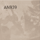 AN939