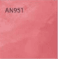 AN951