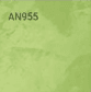 AN955