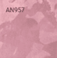 AN957
