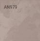 AN979