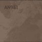 AN981
