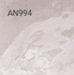 AN994
