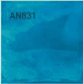 AN831