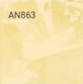 AN863
