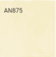 AN875
