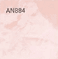 AN884