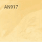 AN917