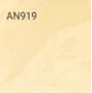 AN919