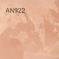 AN922
