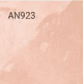 AN923