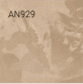 AN929