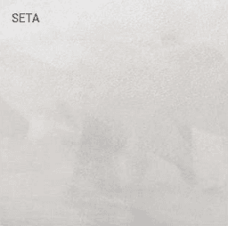 Seta